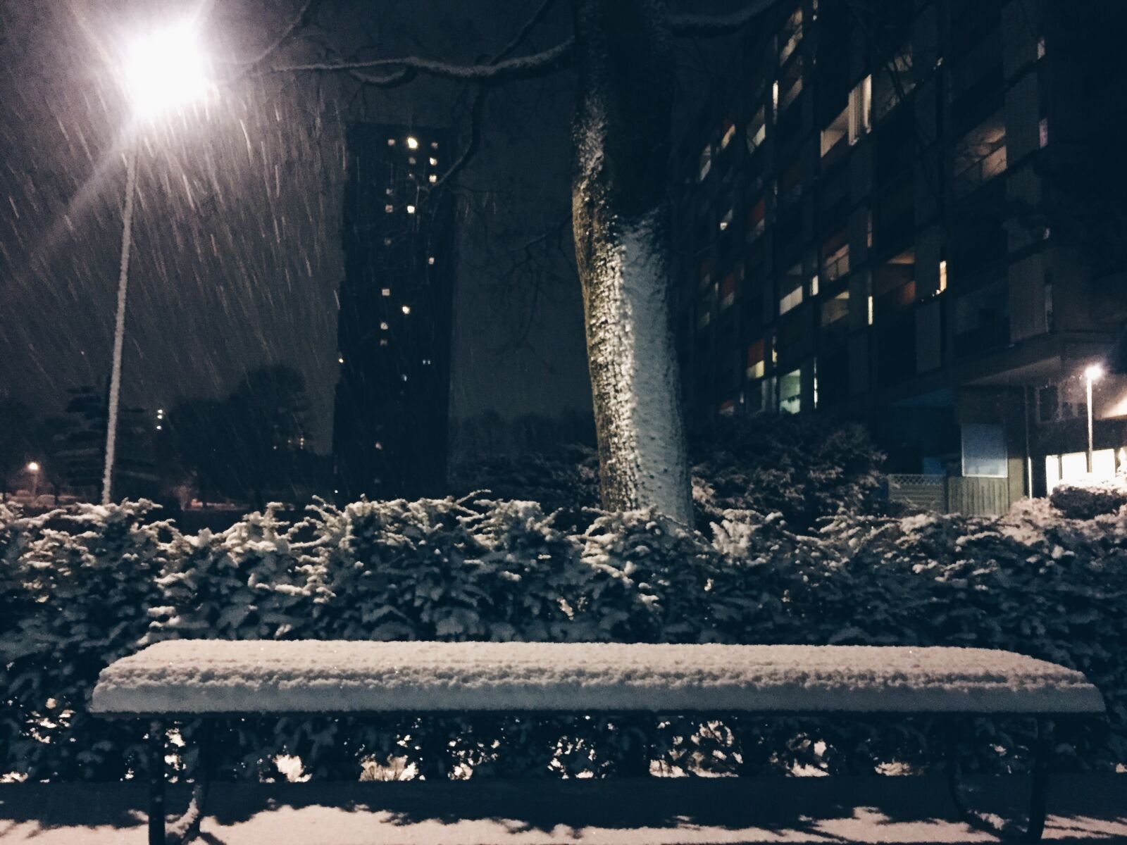Apple iPhone 6 sample photo. Snow, winter photography
