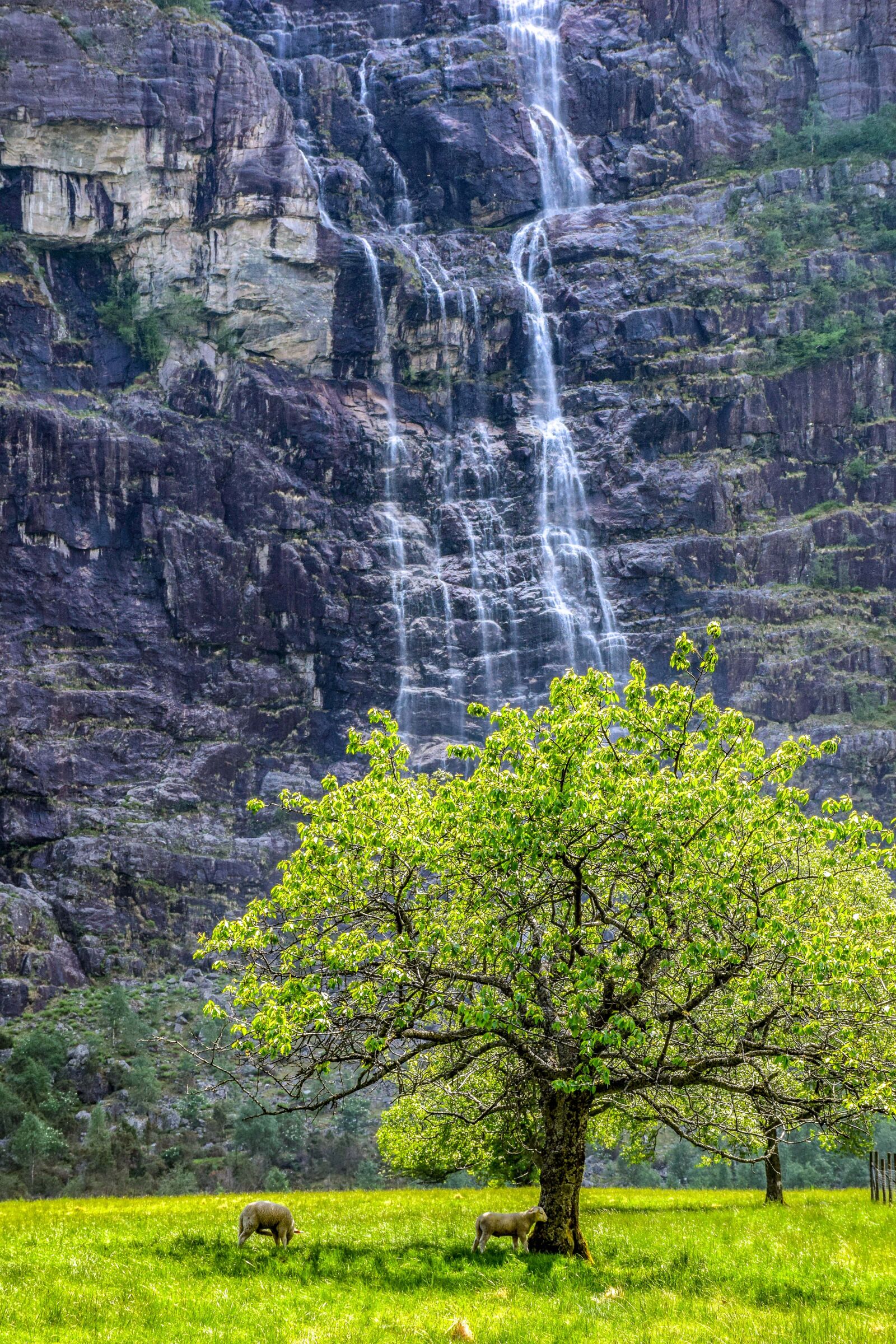 Nikon D5300 sample photo. Mountain, waterfall, sheep photography