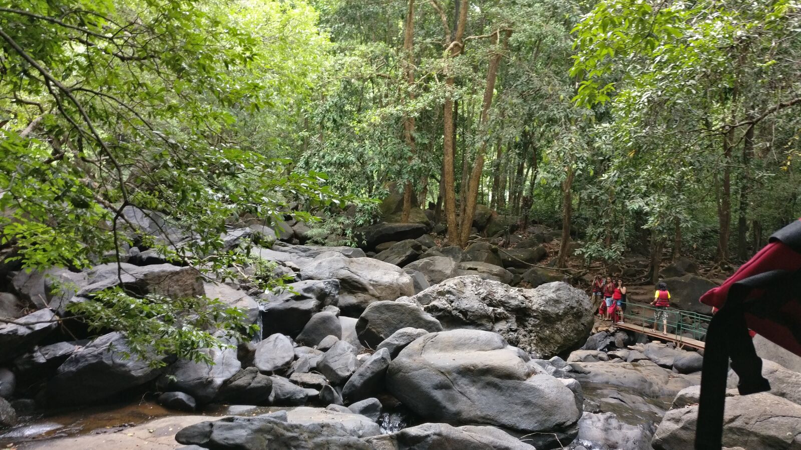 OnePlus A3003 sample photo. Forest, tracking, goa photography