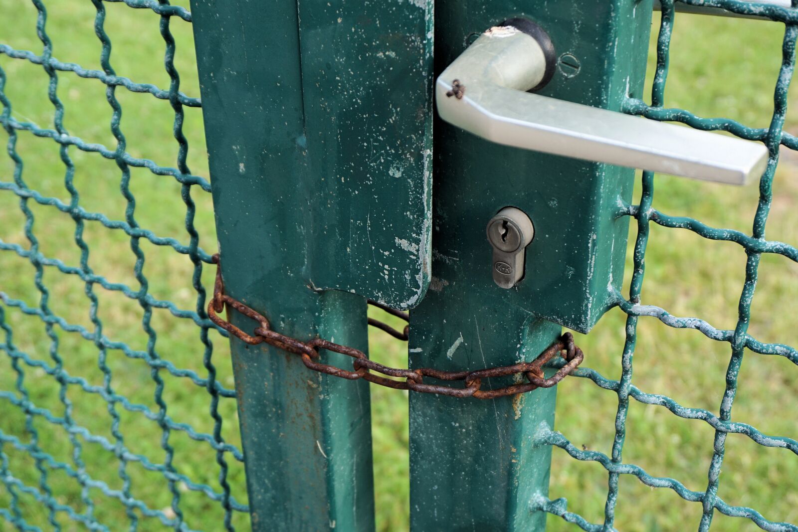 Sony a6000 sample photo. Closed, to, fence photography