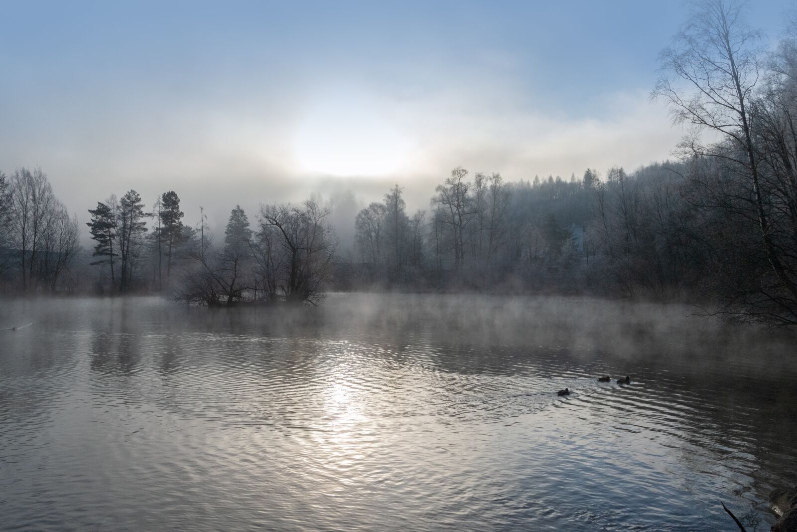 Canon EOS 6D Mark II sample photo. Fog, lake, mist photography