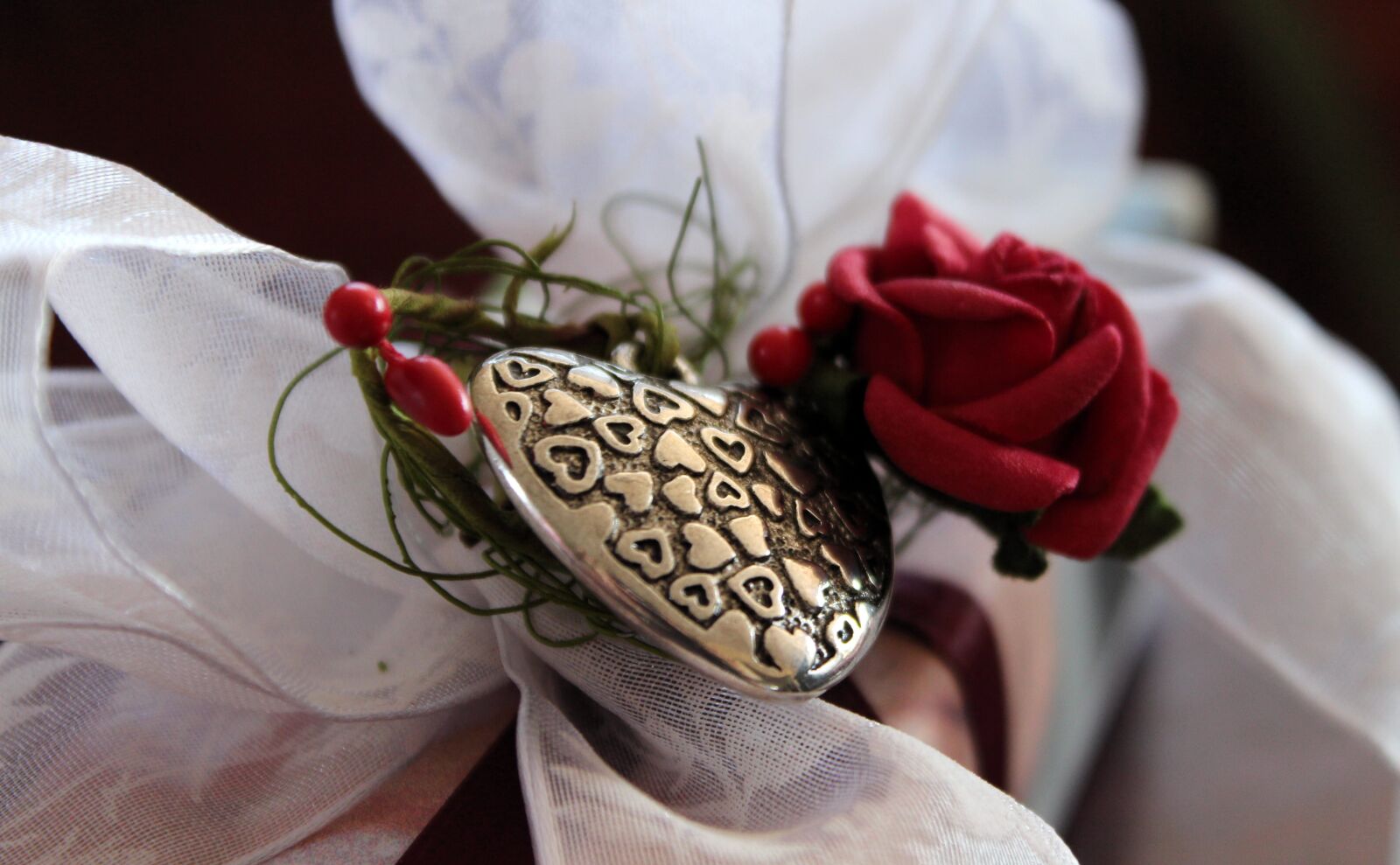 Canon EOS 650D (EOS Rebel T4i / EOS Kiss X6i) sample photo. Loop, gift, heart photography
