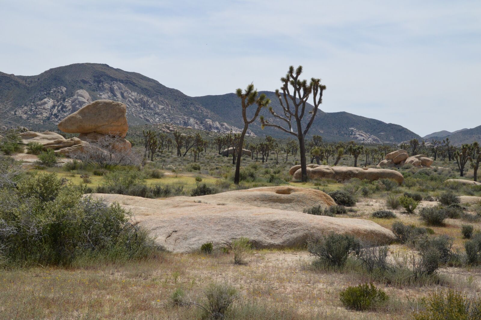 Nikon D3200 sample photo. Travel, california, nature photography