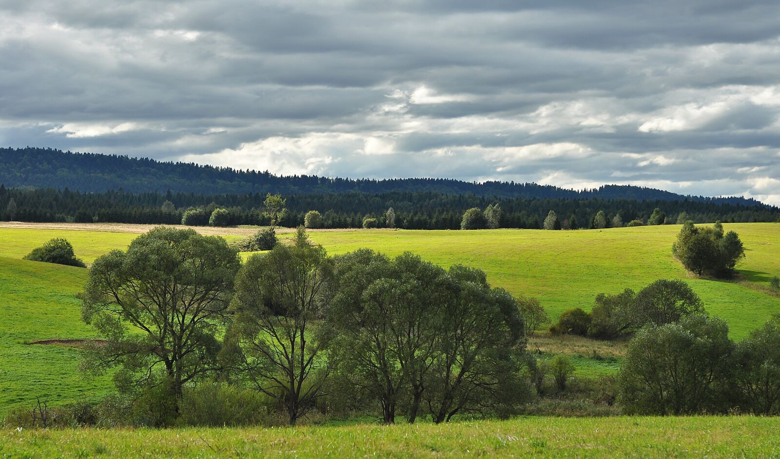 Nikon D90 sample photo. View, mountains, top view photography
