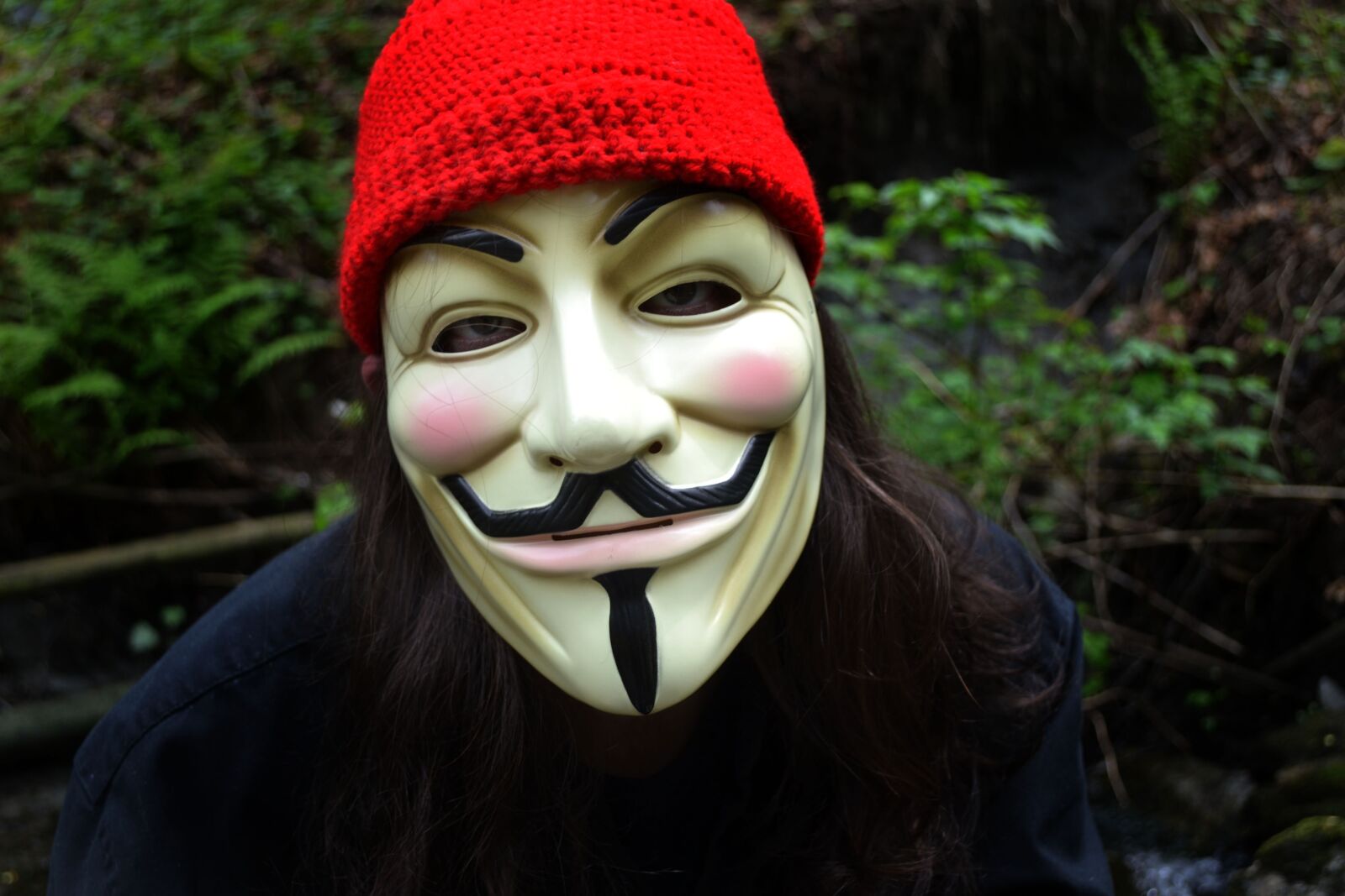 Nikon D3100 sample photo. Face, mask, v for photography
