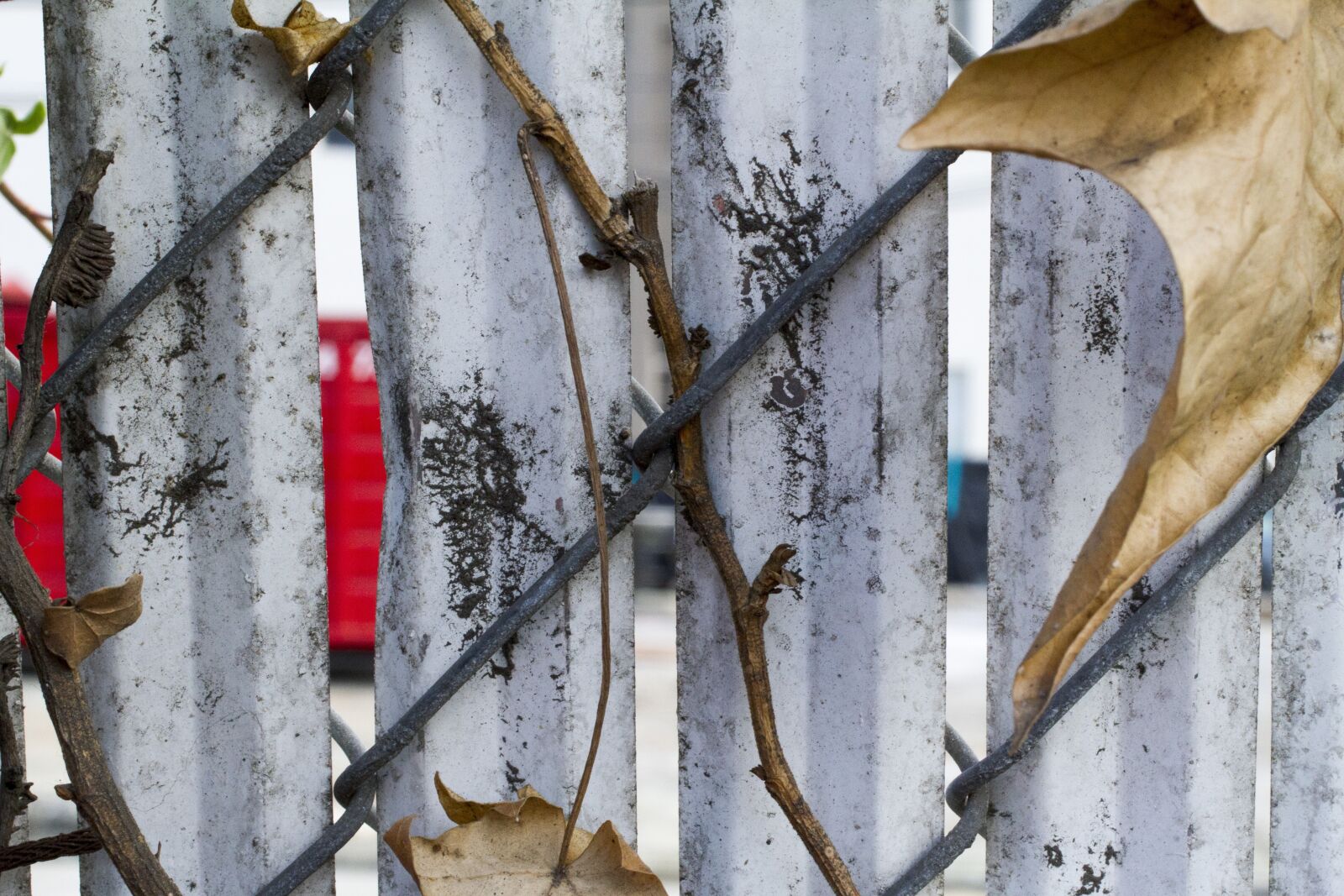 Canon EOS 7D sample photo. Fence, dirty, rustic photography