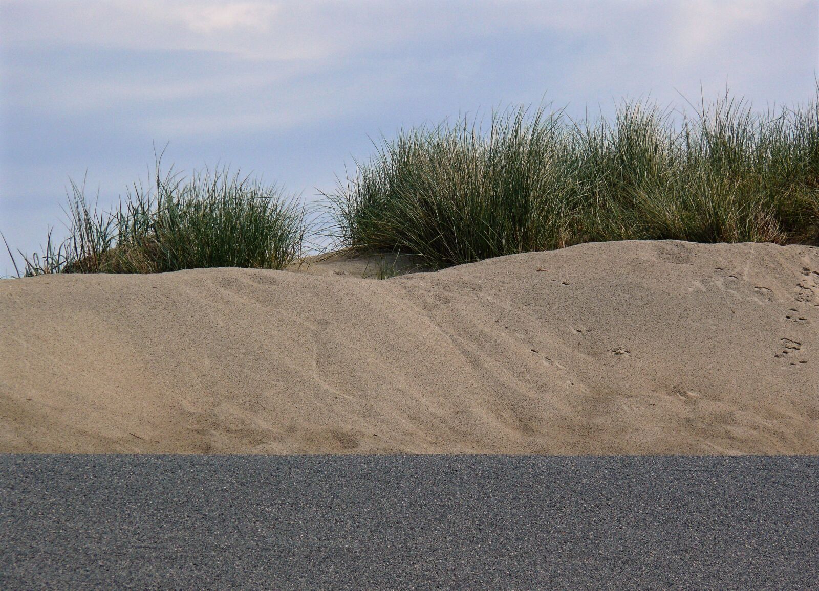Leica V-LUX 1 sample photo. Dune, beach, north sea photography