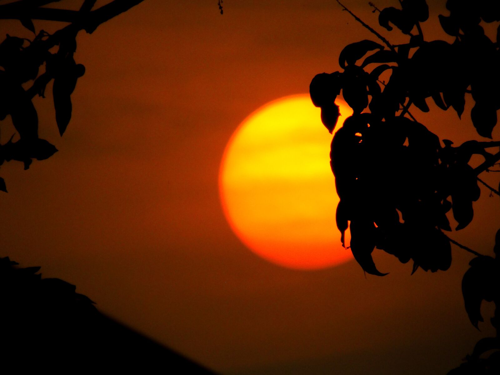 Canon POWERSHOT SX430 IS sample photo. Sun set, nature, sky photography