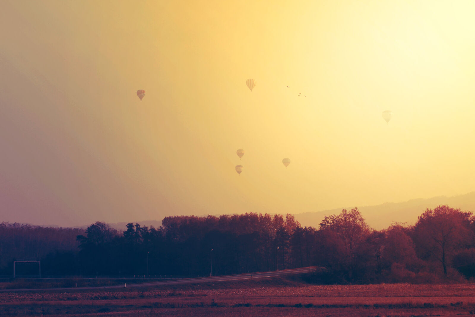 Canon EOS 60D + Tamron AF 70-300mm F4-5.6 Di LD Macro sample photo. Freedom, hot, air, balloons photography