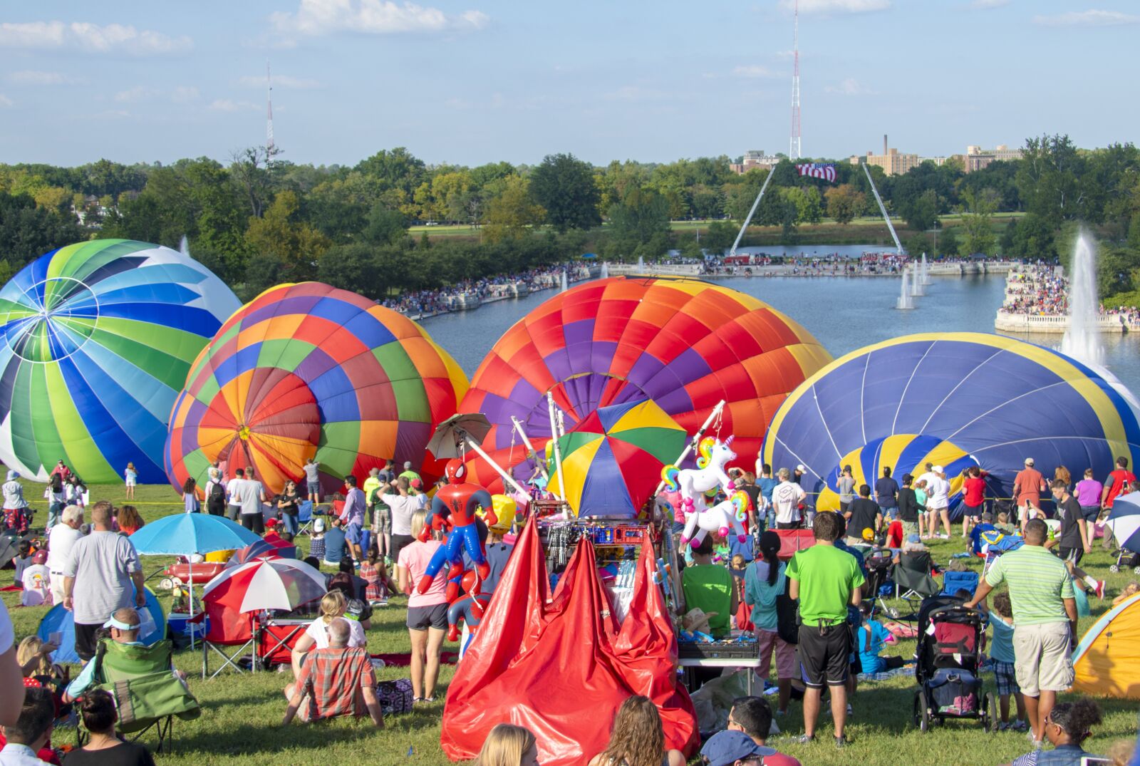 Nikon D850 sample photo. Hot air balloon, balloon photography
