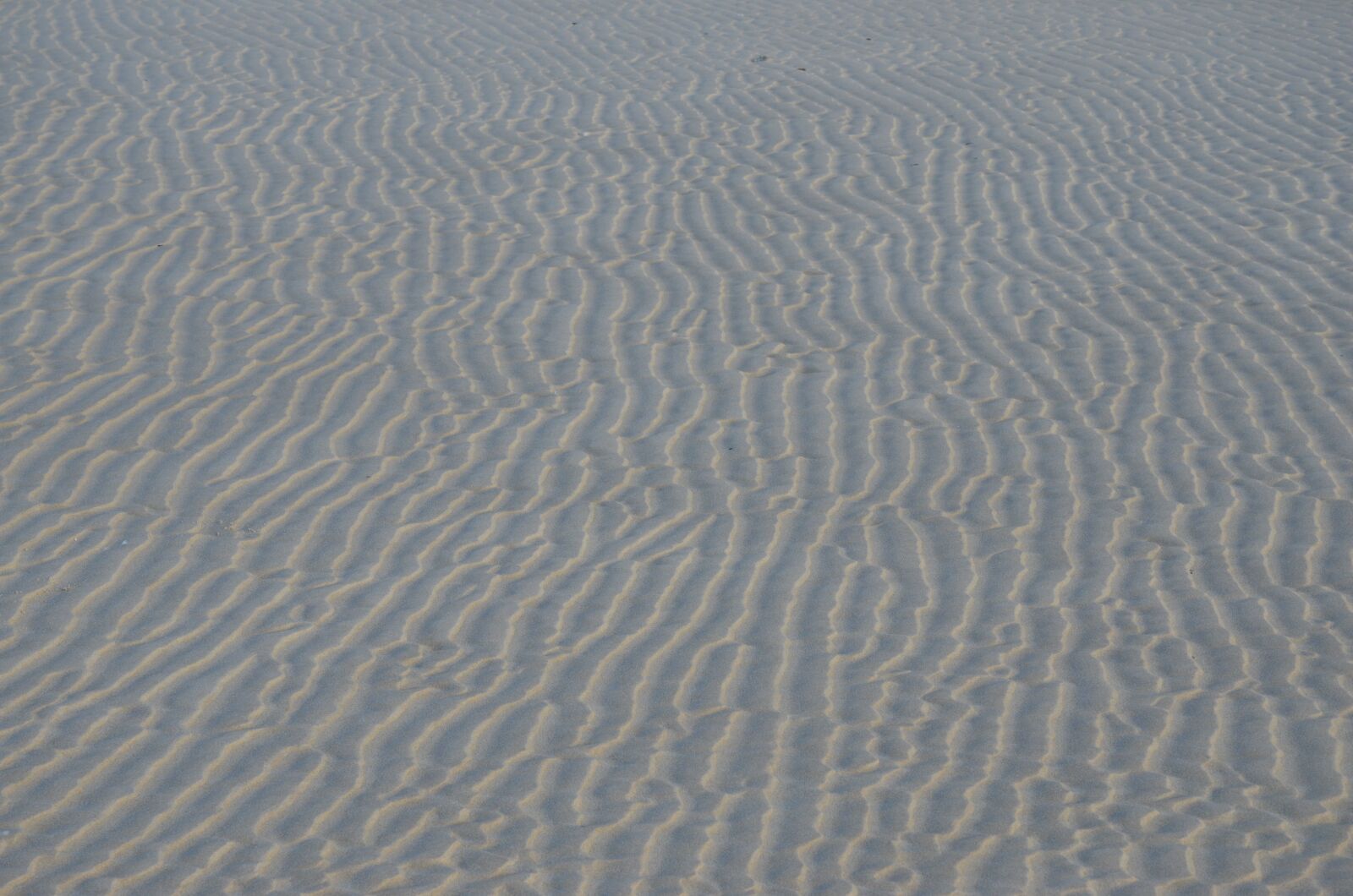 Nikon D7000 sample photo. Sand, ripples, texture photography