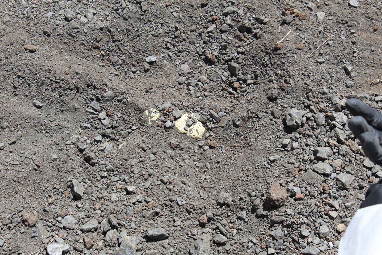Canon EOS 1300D (EOS Rebel T6 / EOS Kiss X80) sample photo. Criminalistics, of, field photography