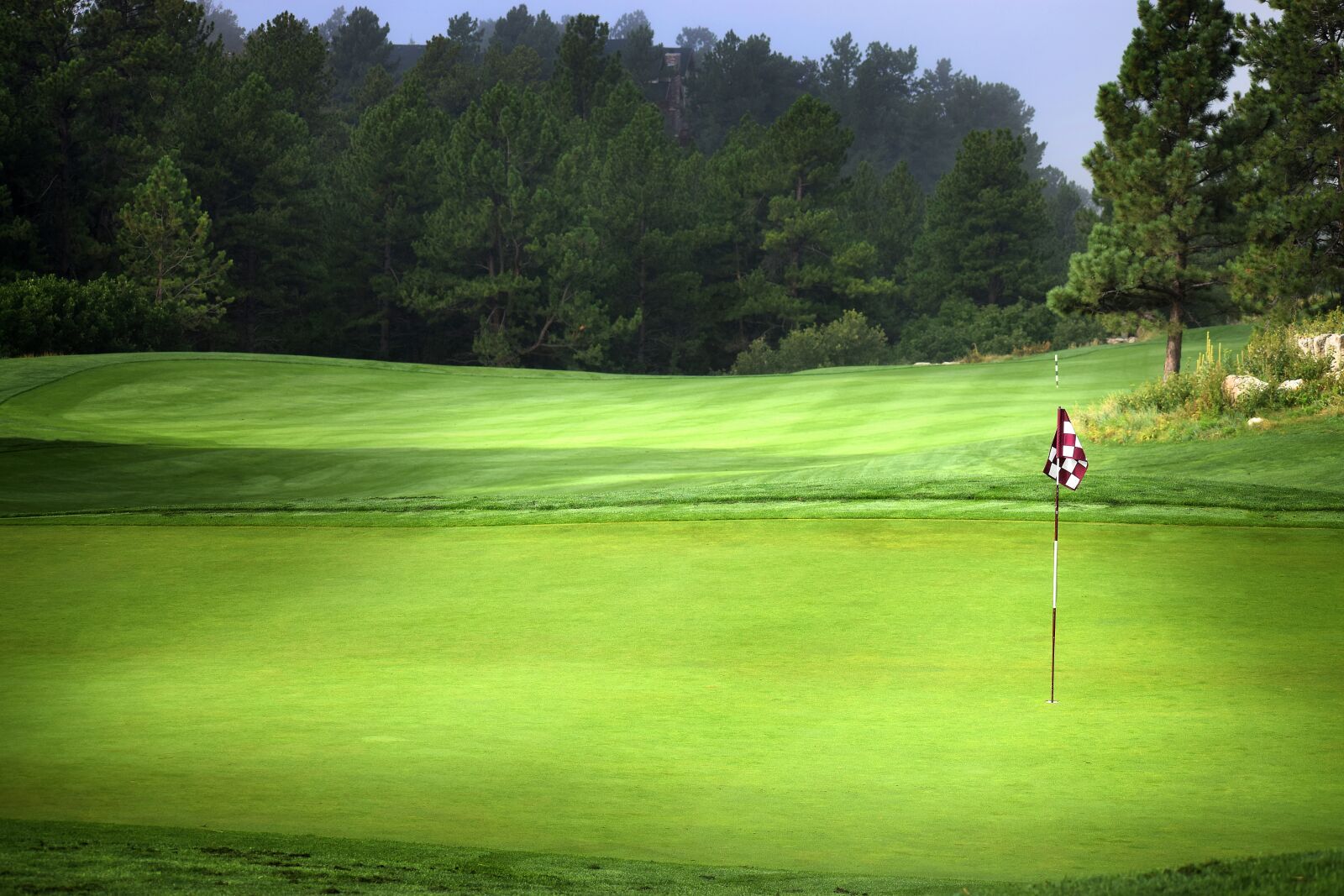Nikon D5300 sample photo. Labor day, golf, grass photography
