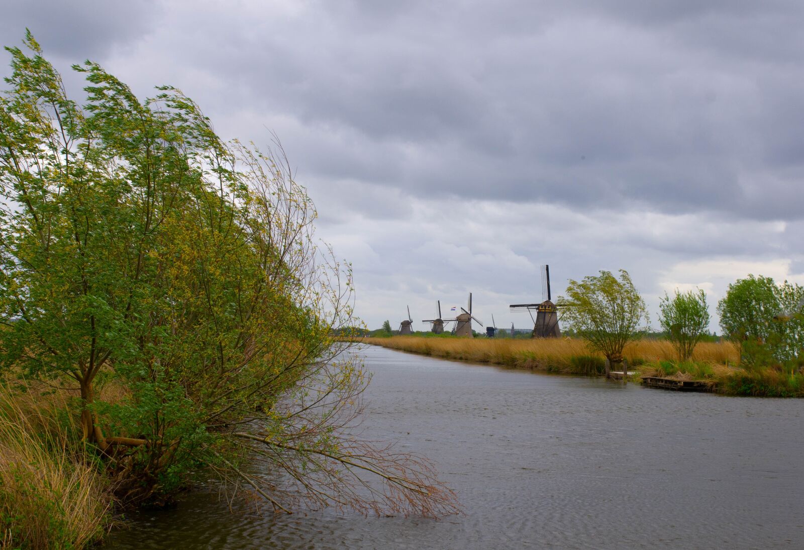 Pentax K-5 sample photo. Netherlands, holland, kinderdijk photography