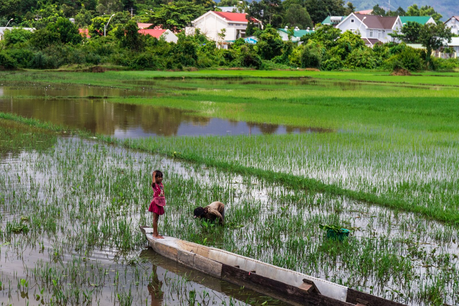 Canon EOS 6D Mark II sample photo. Rice paddy, kids, water photography