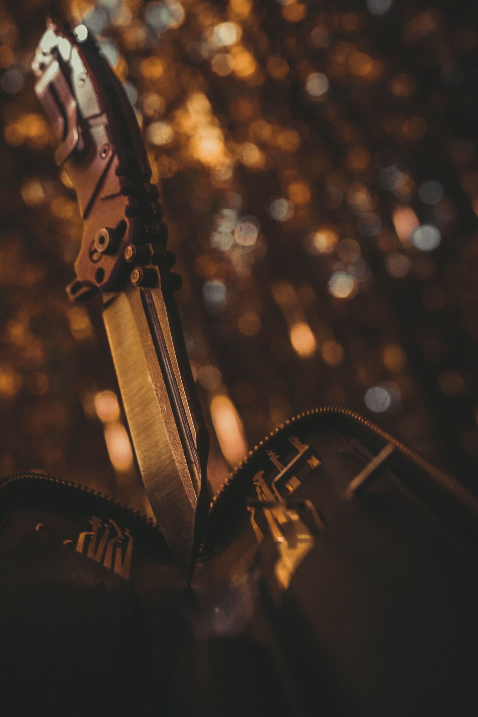 Sony a6400 + Sigma 16mm F1.4 DC DN | C sample photo. Nature, fire, knife photography