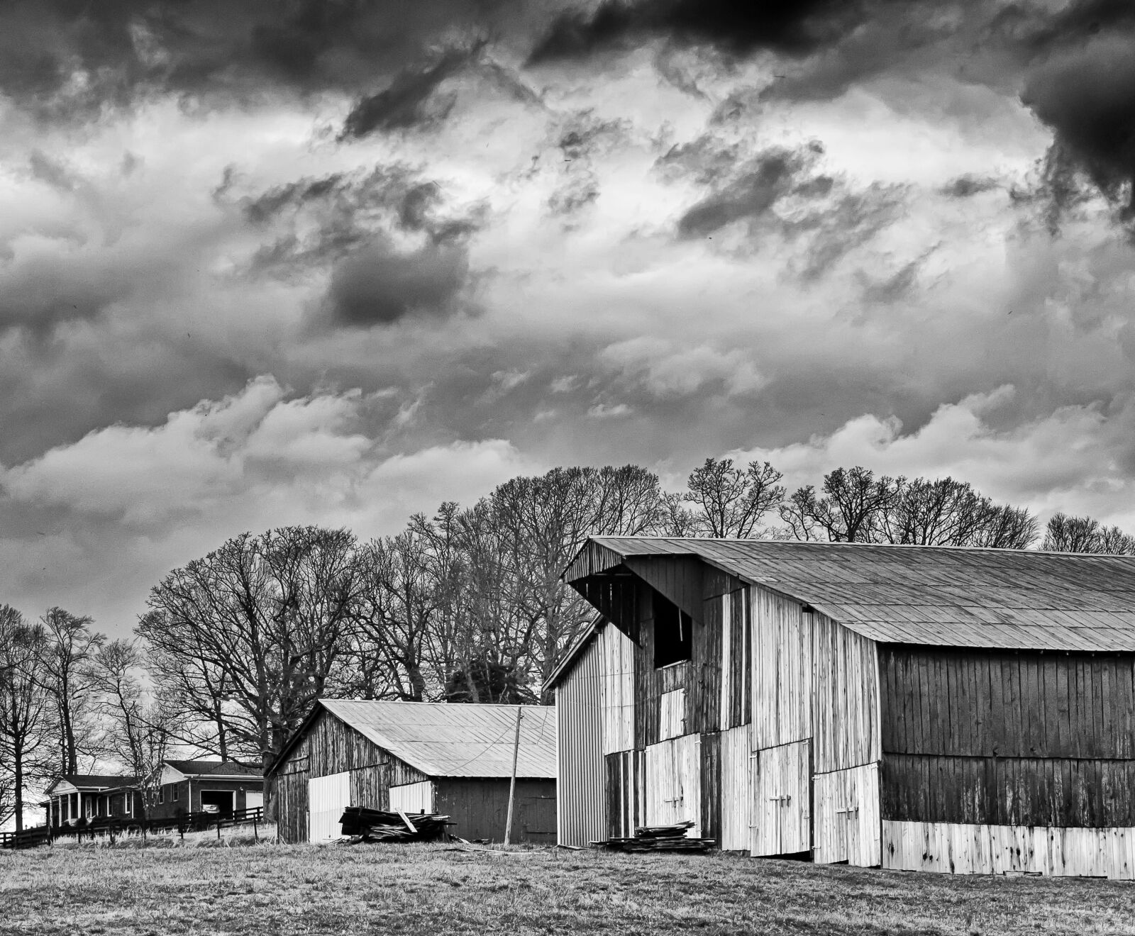 Leica X Vario sample photo. Monochrome, black and white photography