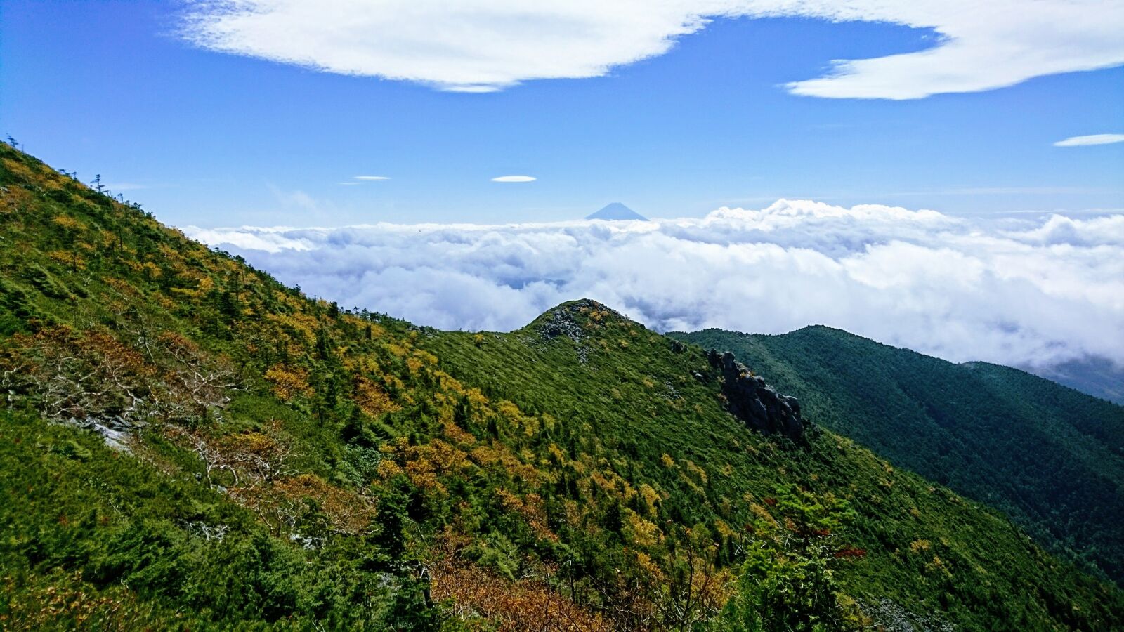 Sony Xperia X Compact sample photo. Fuji, sea of clouds photography
