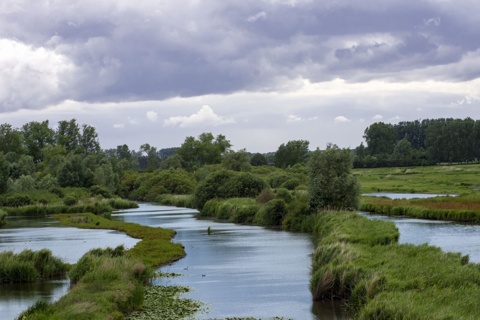 Nikon D7200 sample photo. Nature, water, brook photography
