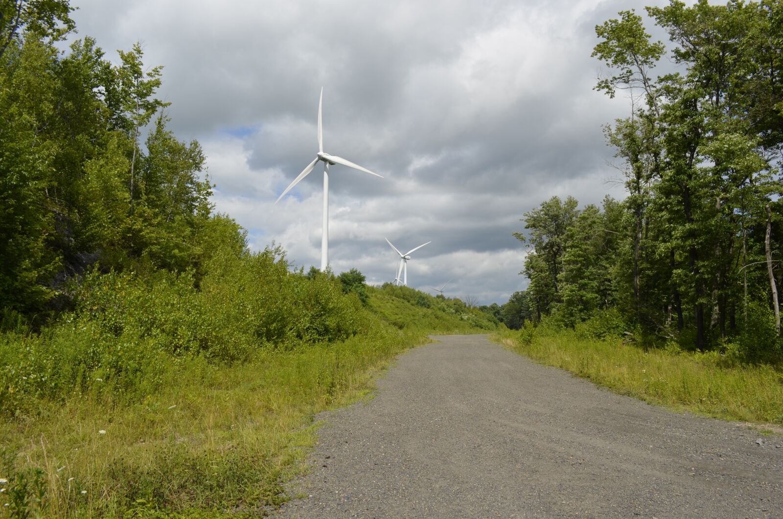 Nikon D5100 sample photo. Windmills, wind power, sustainable photography