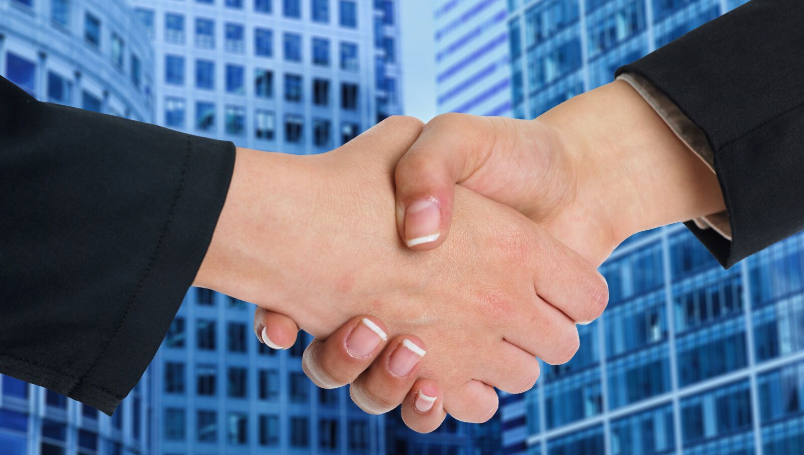 Nikon D3300 sample photo. Handshake, deal, business photography