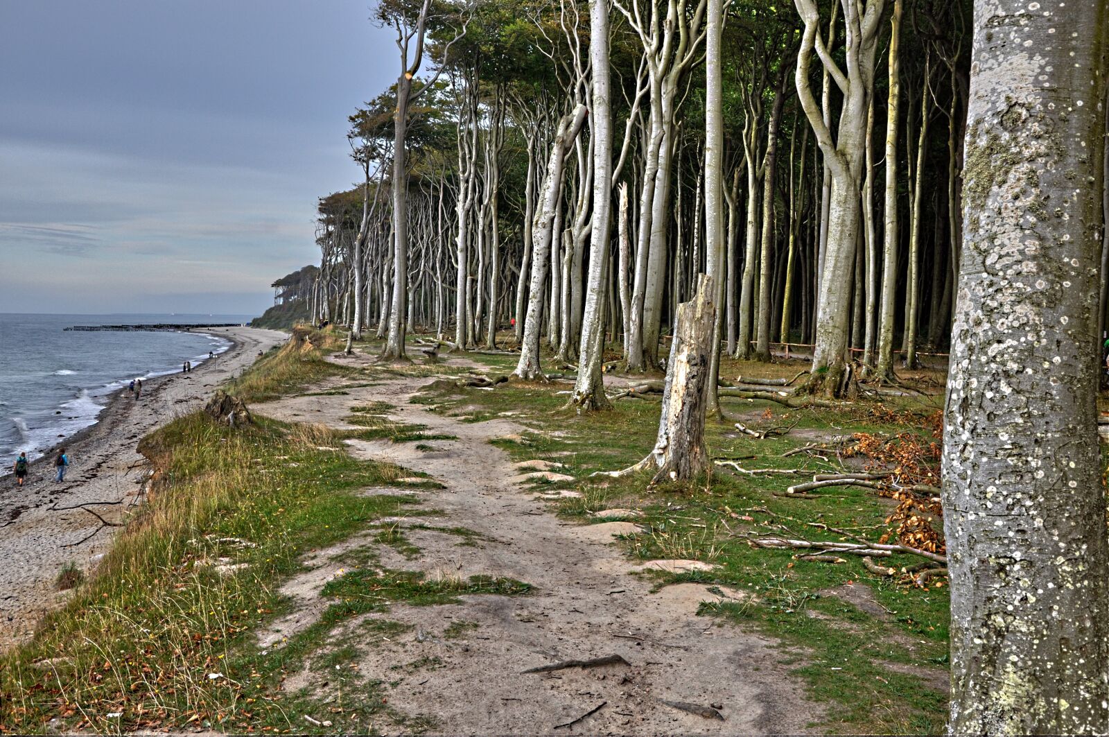 Nikon D90 sample photo. Nature, baltic sea coast photography