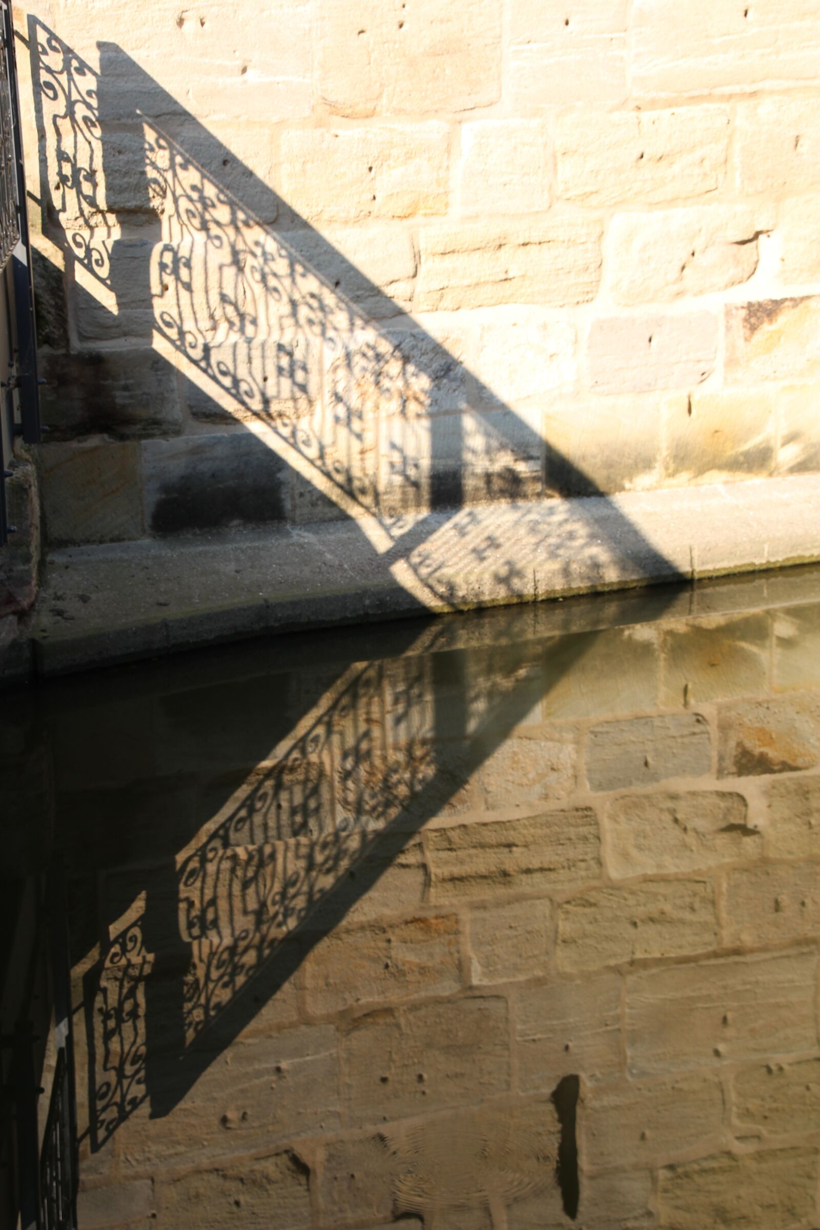 Canon EOS 1200D (EOS Rebel T5 / EOS Kiss X70 / EOS Hi) sample photo. Dinosaur, mirroring, bridge photography