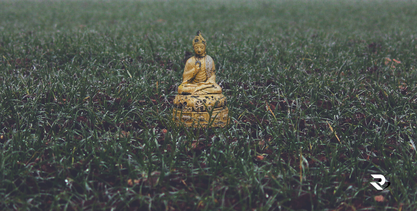 Canon EOS 600D (Rebel EOS T3i / EOS Kiss X5) sample photo. Buuddha, peace, wallpaper photography