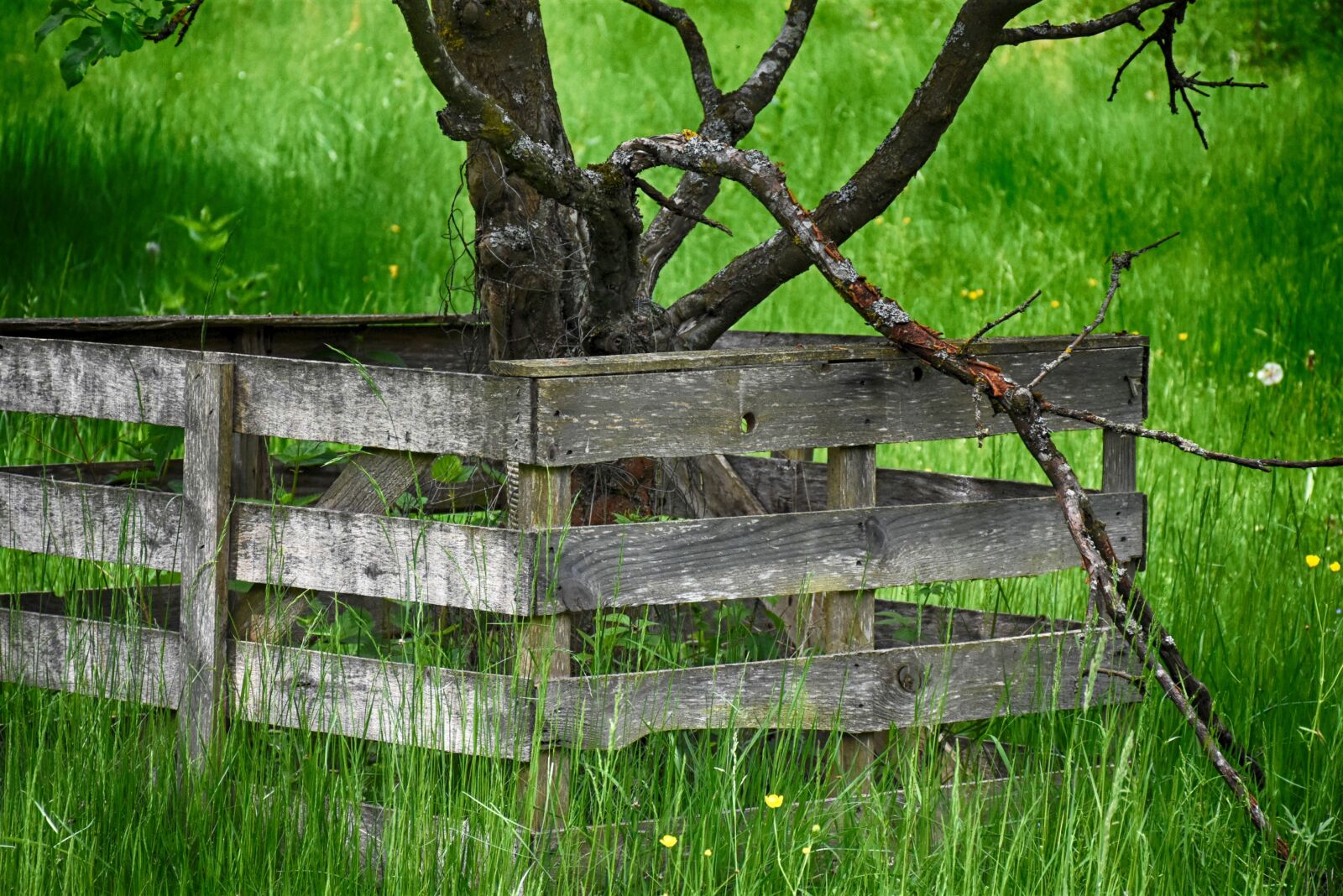 Nikon D7200 sample photo. Fence, wood, protection photography