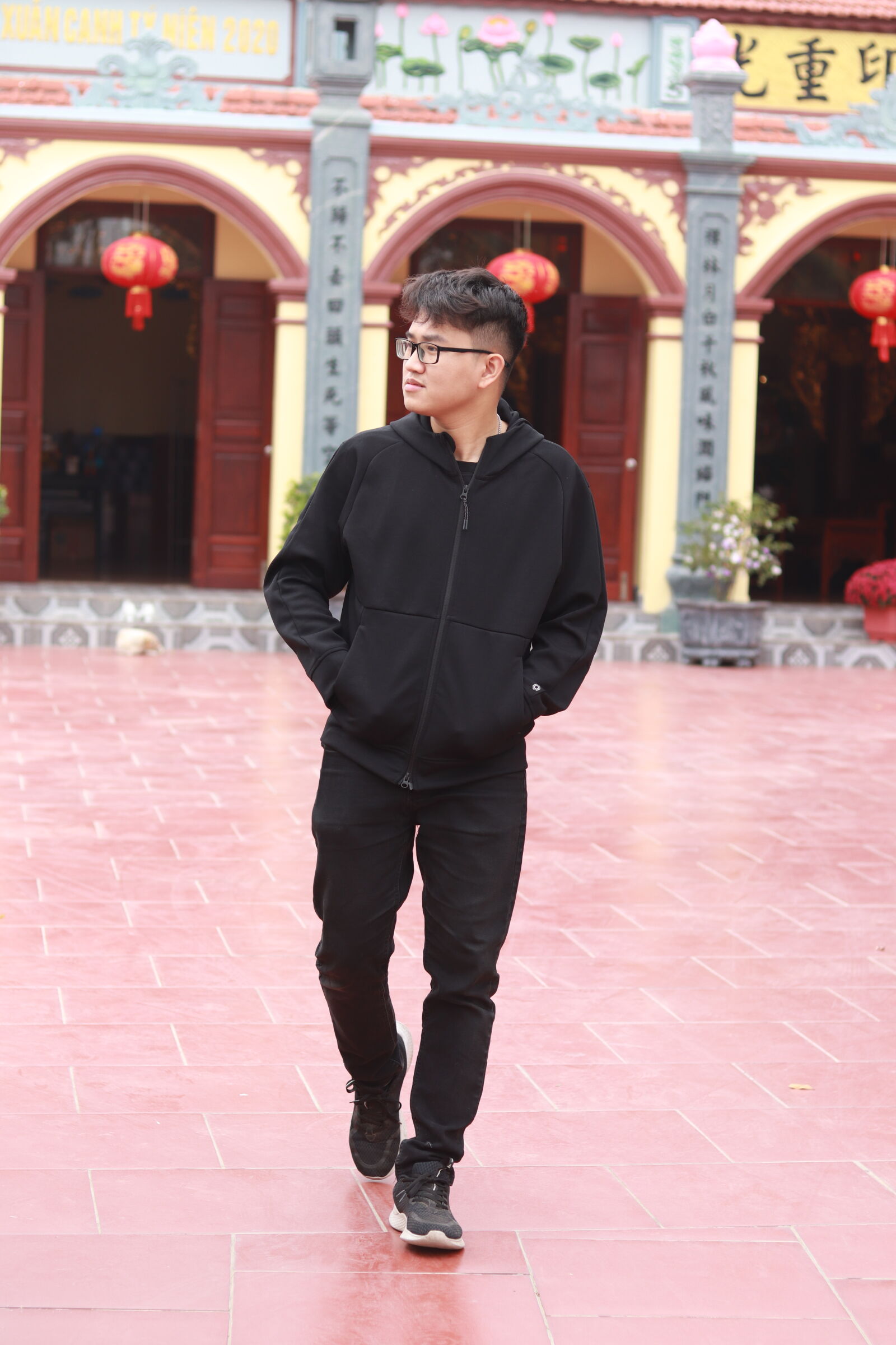 Canon EF 50mm F1.8 STM sample photo