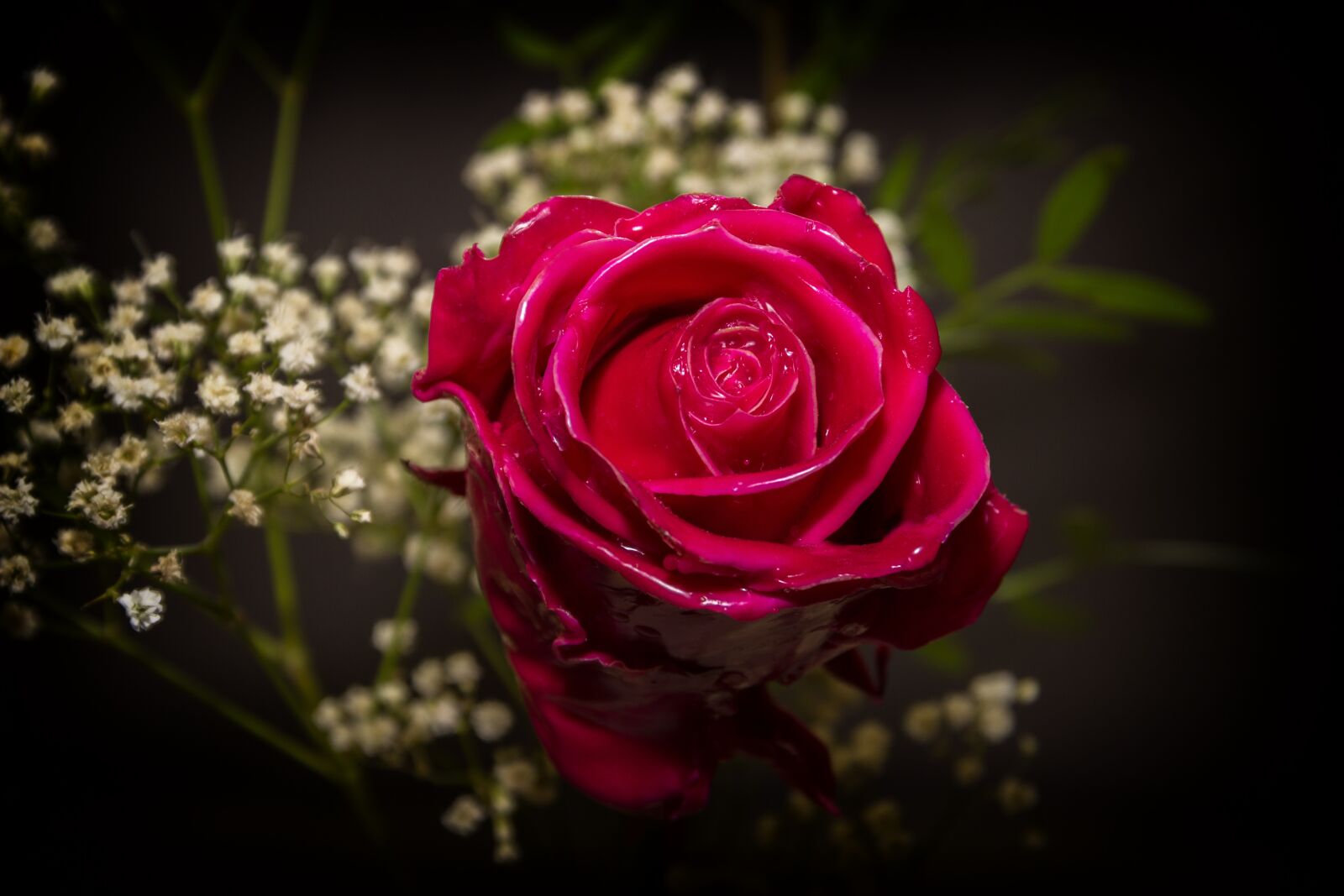 Canon EOS 600D (Rebel EOS T3i / EOS Kiss X5) sample photo. Rose, red, wax photography