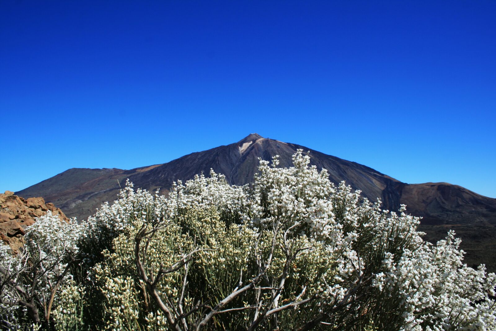 Canon EOS 400D (EOS Digital Rebel XTi / EOS Kiss Digital X) sample photo. Canary islands, teide national photography
