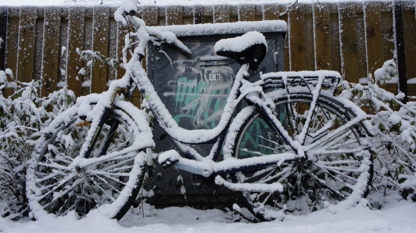 Sony Alpha NEX-5 + Sony E 18-55mm F3.5-5.6 OSS sample photo. Snow, bicycle, winter photography