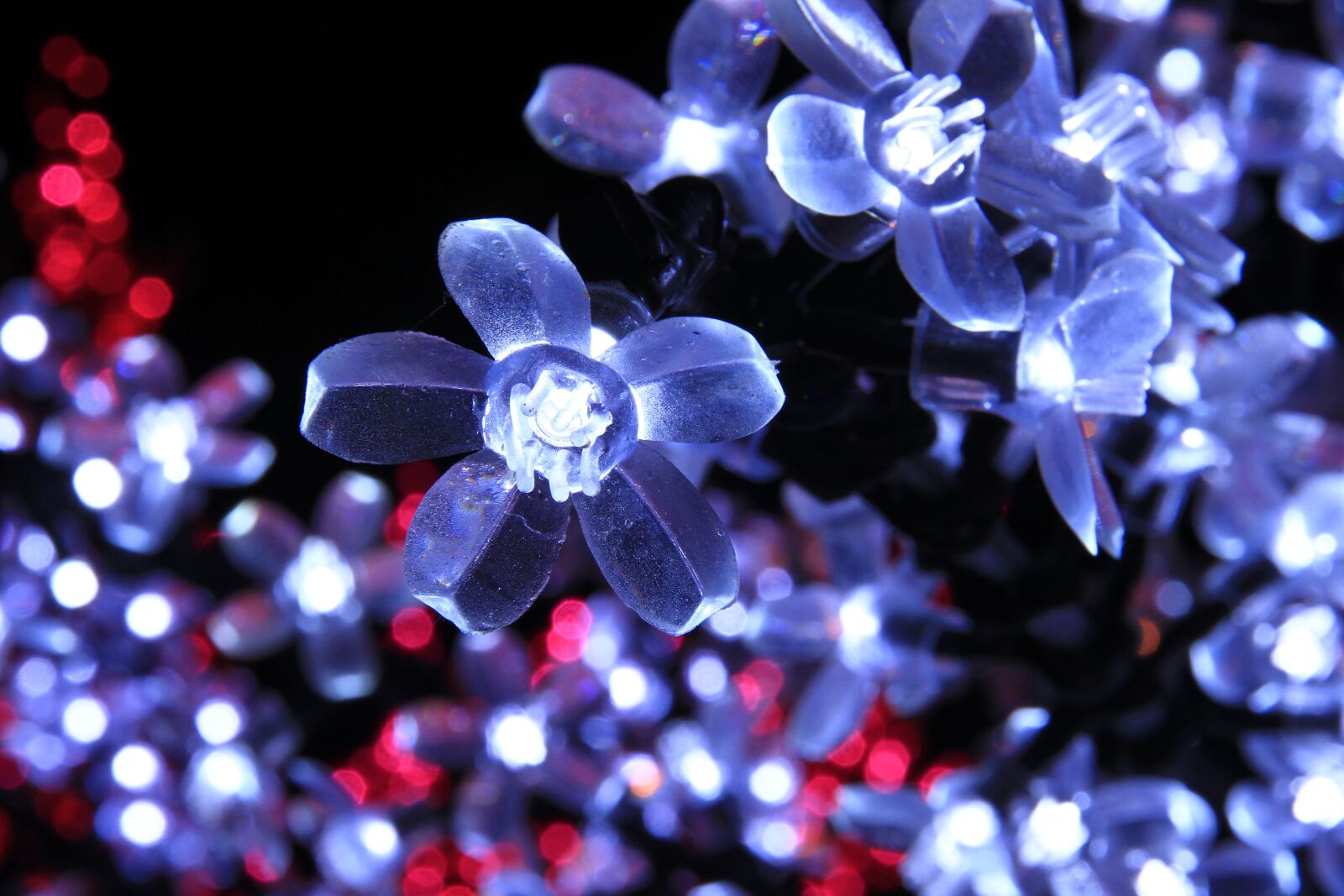 Canon EOS 7D sample photo. Lights, neon, colors photography