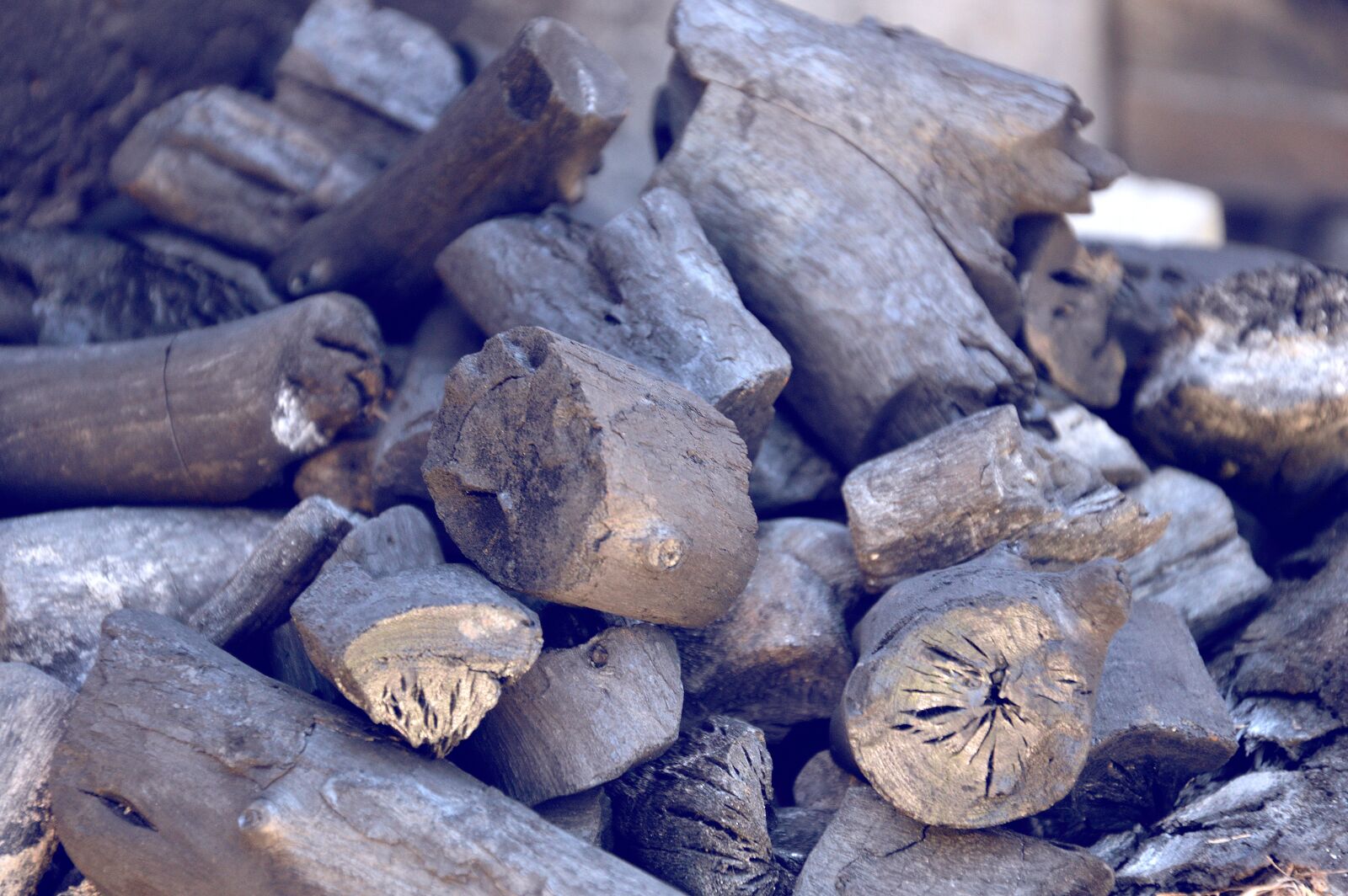 Nikon D3200 sample photo. Wood, barbecue, burned photography