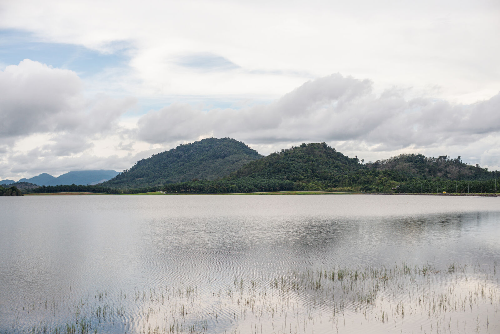 Nikon D610 sample photo