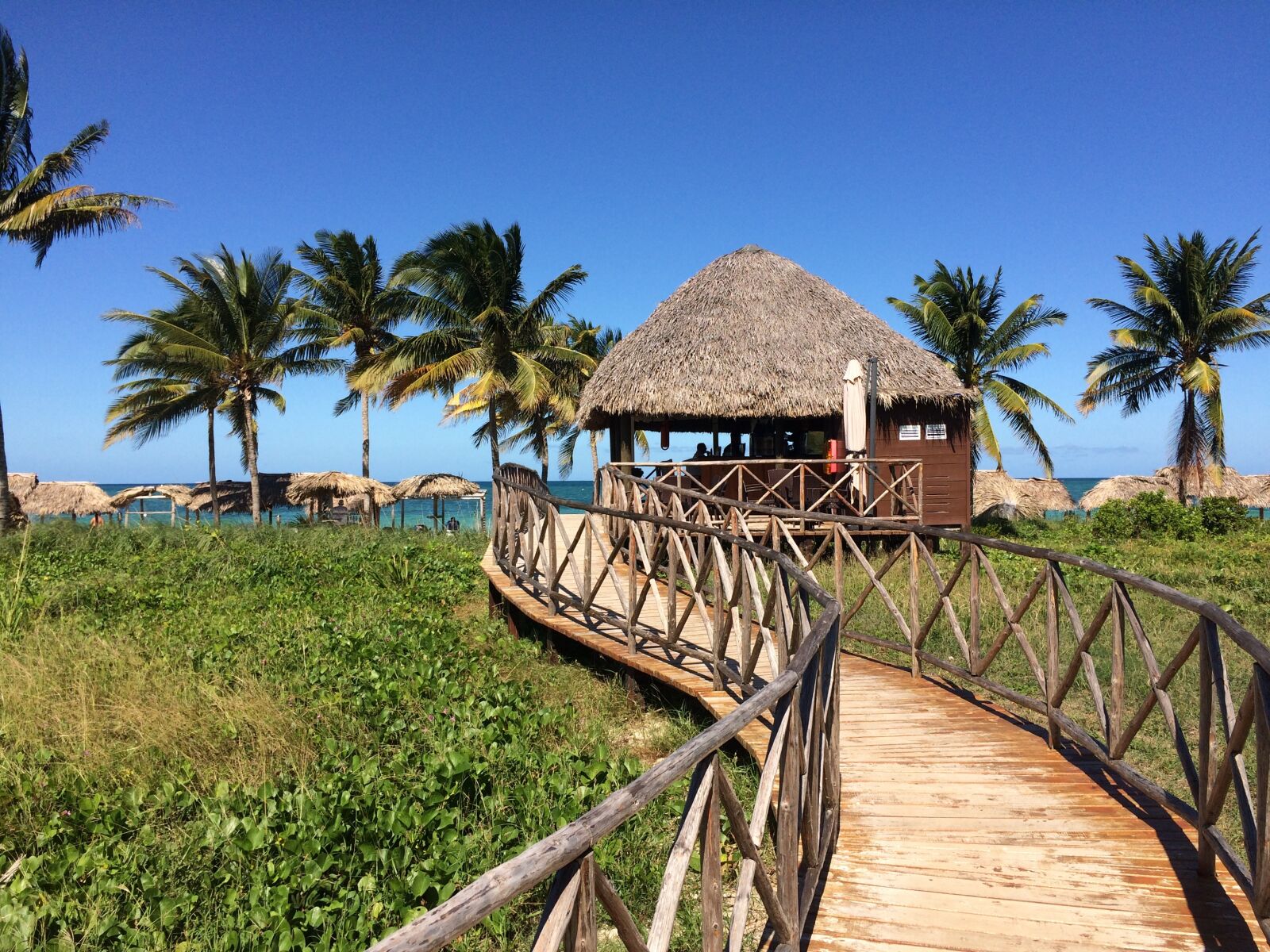 iPhone 5s back camera 4.15mm f/2.2 sample photo. Cuba, palm trees, beach photography