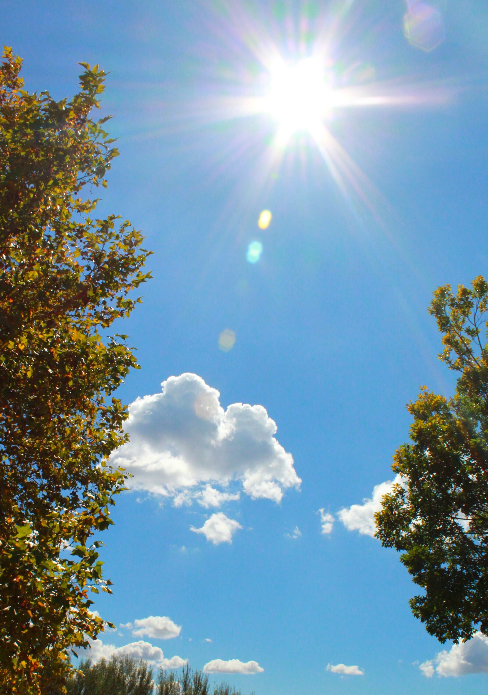Canon EOS 1300D (EOS Rebel T6 / EOS Kiss X80) sample photo. Blue skies, sky, sunshine photography