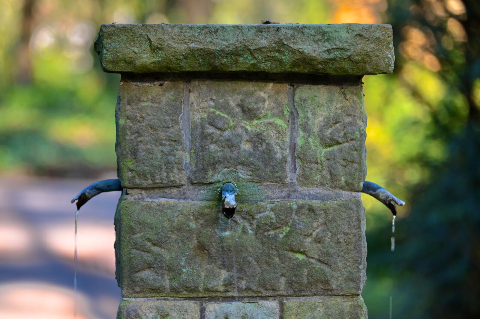 Nikon Z6 sample photo. Fountain, stone fountain, water photography