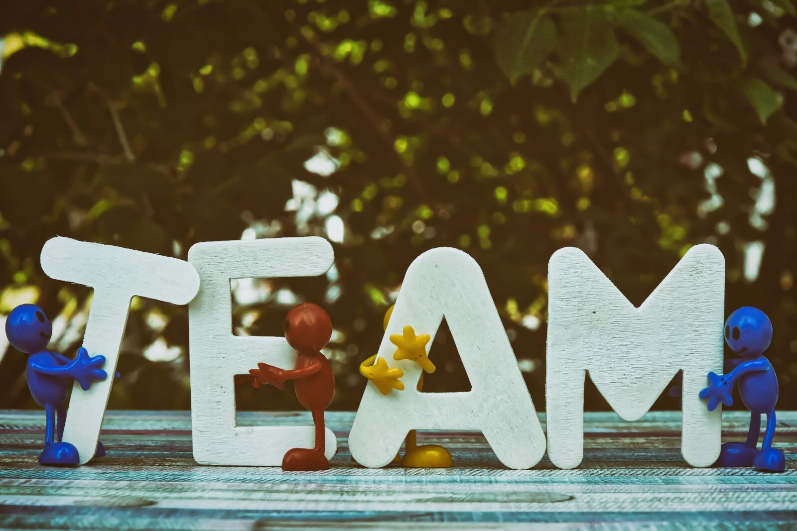 Nikon D7200 sample photo. Team, teamwork, together photography