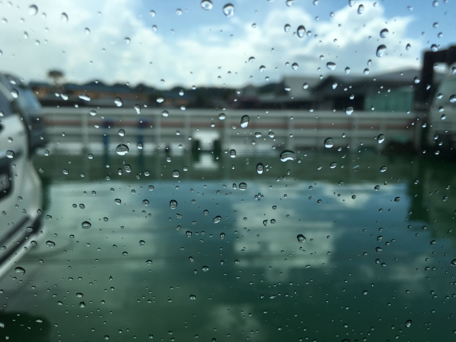 Apple iPhone 6s sample photo. Rain, raindrops, droplet photography