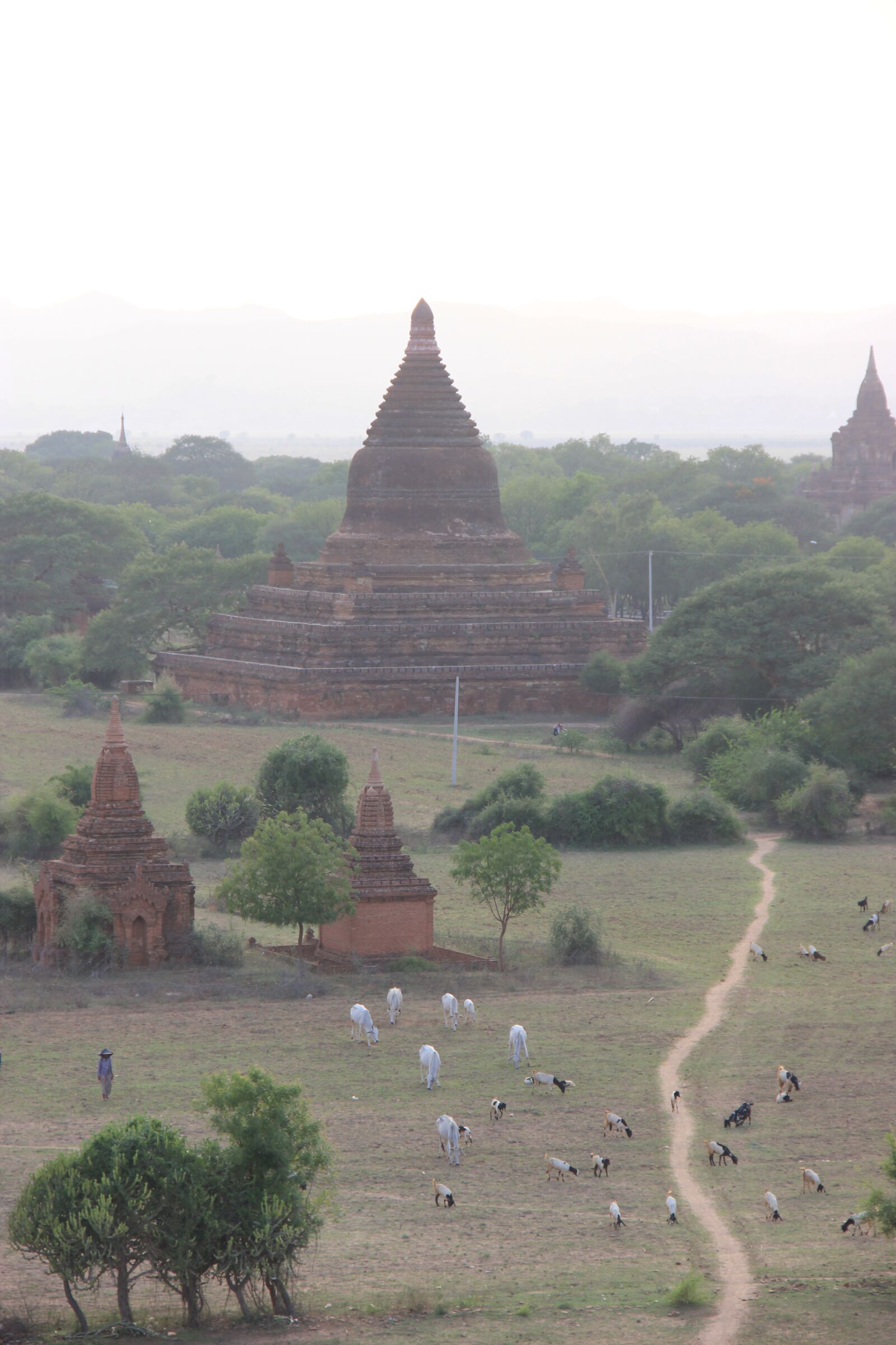 Canon EOS 550D (EOS Rebel T2i / EOS Kiss X4) sample photo. Myanmar, temple, monuments photography