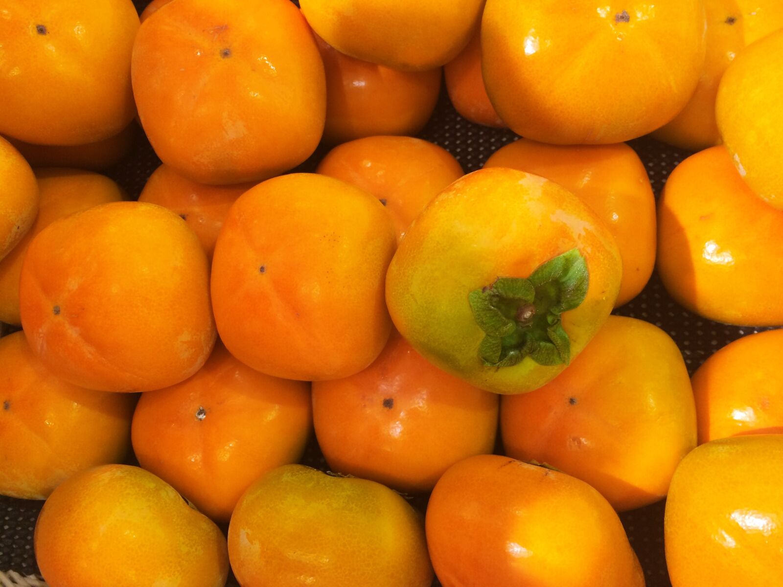 iPhone 5s back camera 4.15mm f/2.2 sample photo. Persimmon, autumn, fruit photography