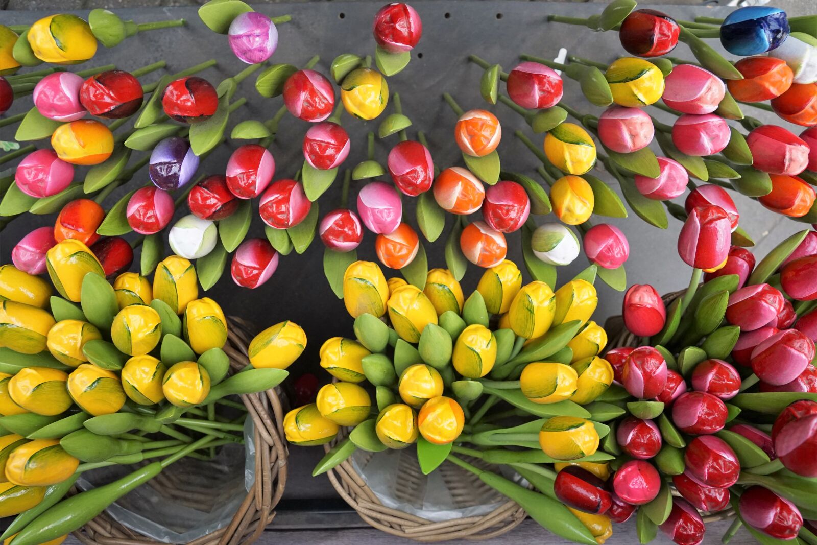 Sony ILCA-77M2 + Sony DT 16-50mm F2.8 SSM sample photo. Flowers, tulips, holland photography