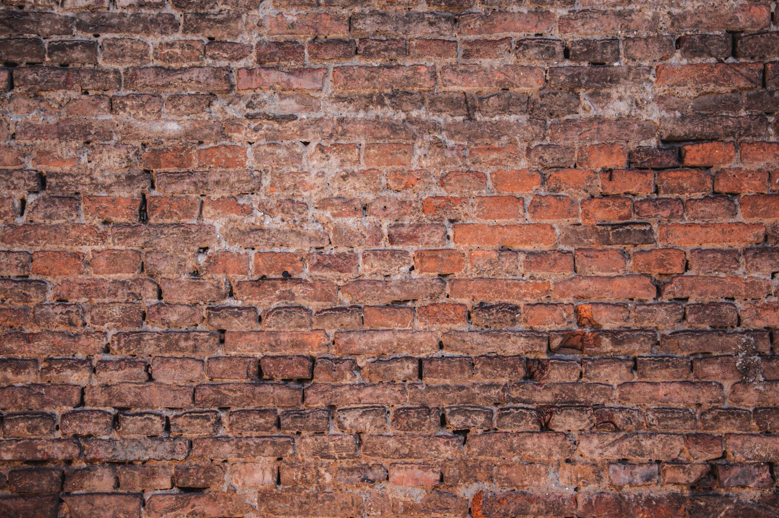 Nikon D90 sample photo. Brick, wall, texture photography