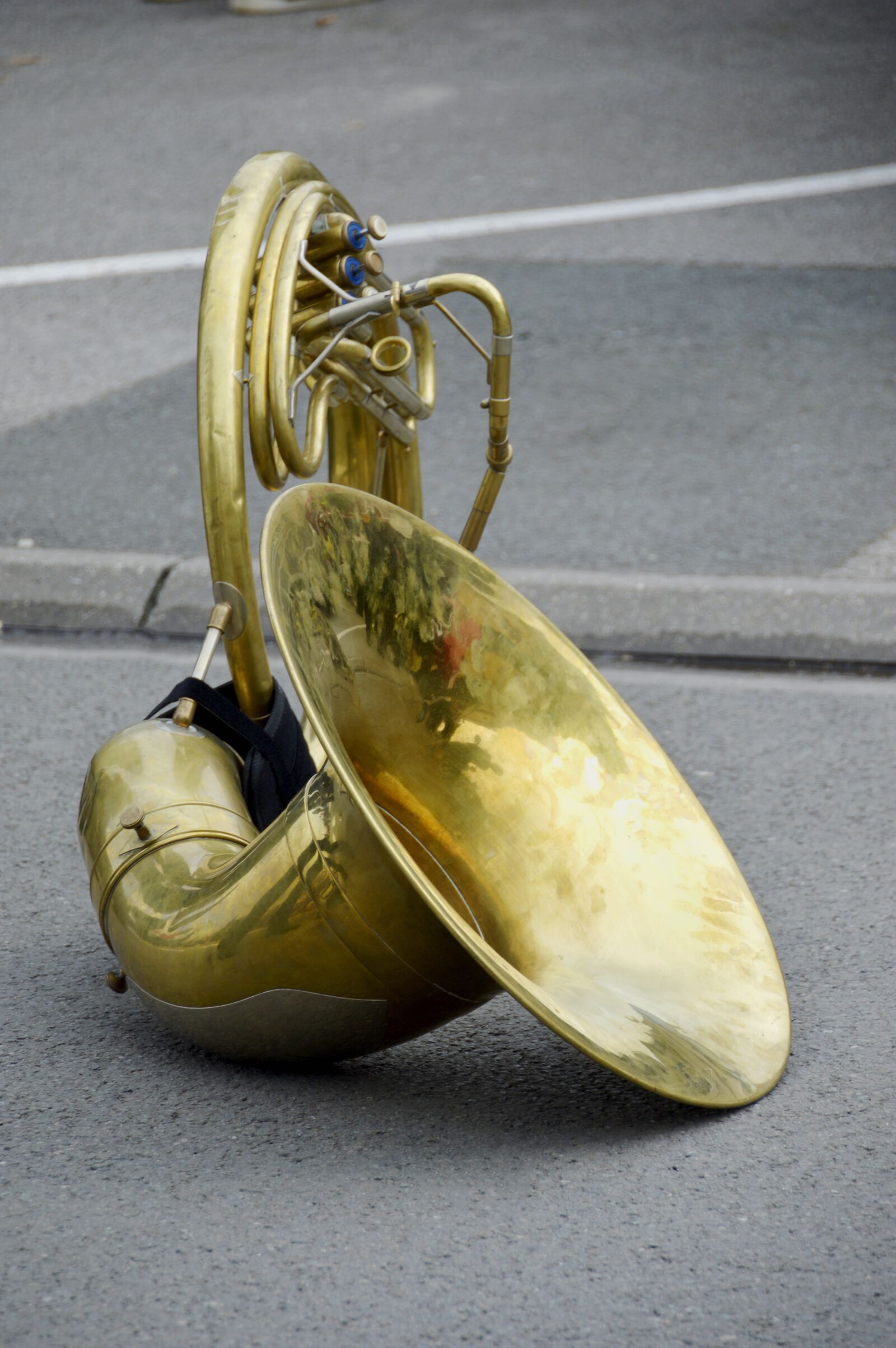 Nikon D3200 sample photo. Orchestra, music, instrument photography