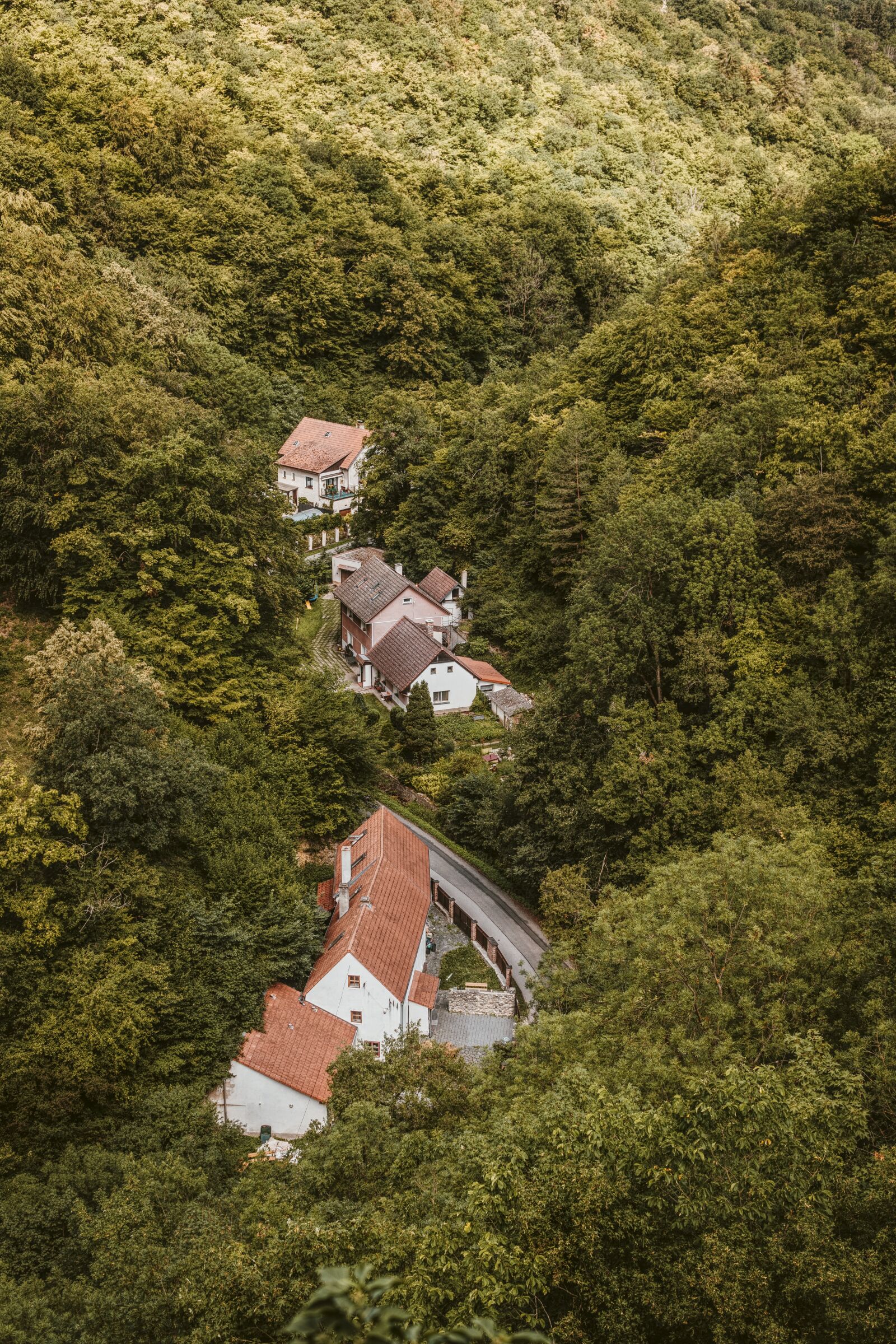 Sony a6300 sample photo. Forest, loneliness, houses photography