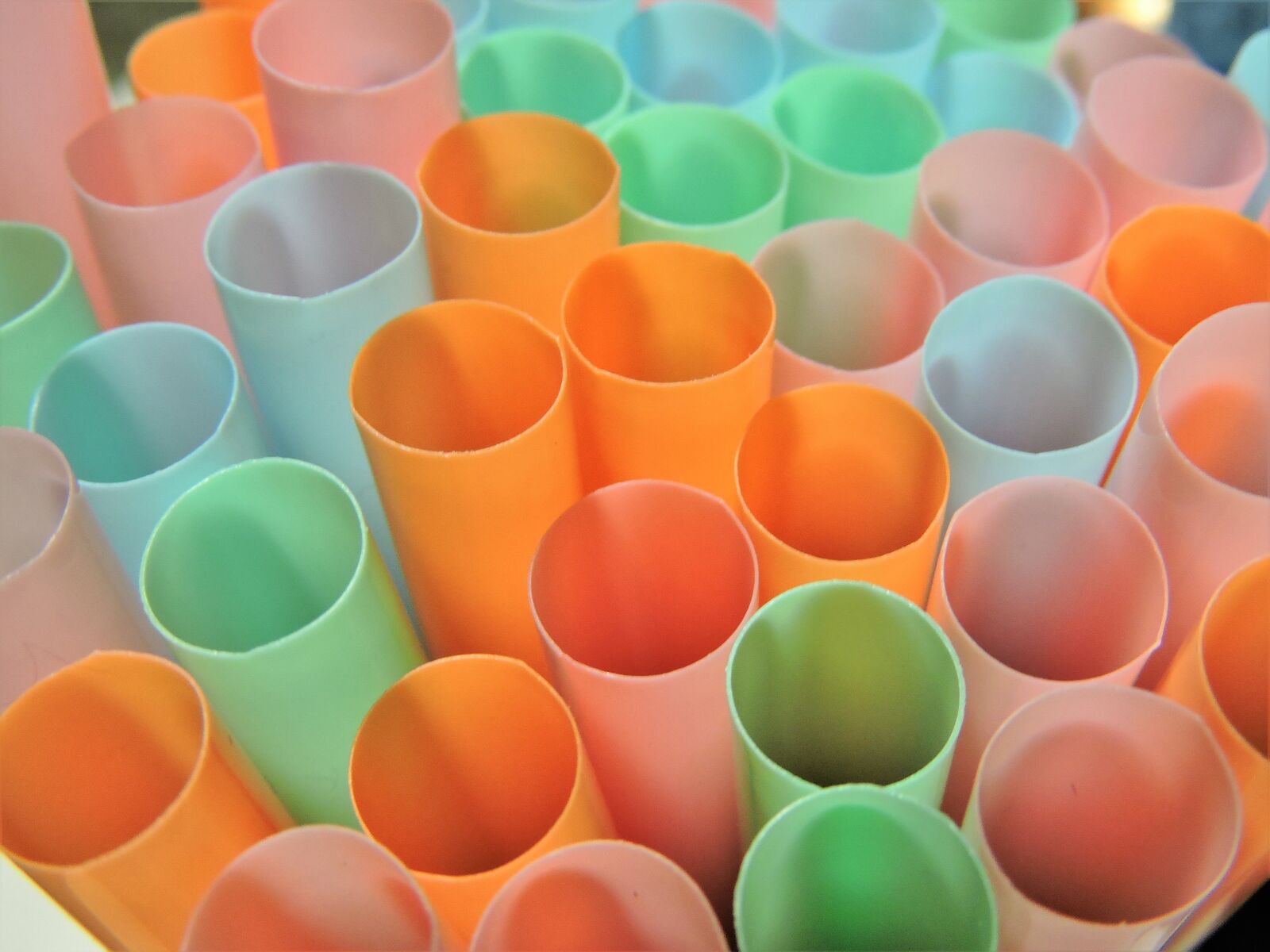 Nikon Coolpix P600 sample photo. Macro, straws, colorful photography