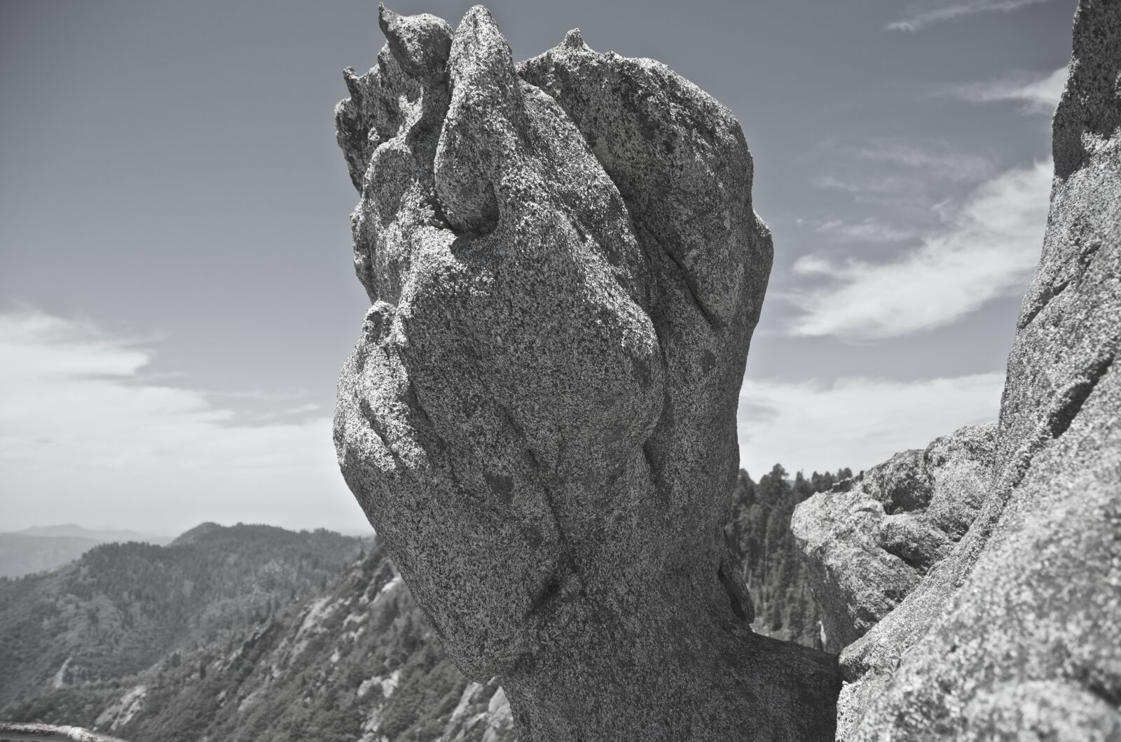 Nikon D7000 sample photo. Sequoia national park, freedom photography