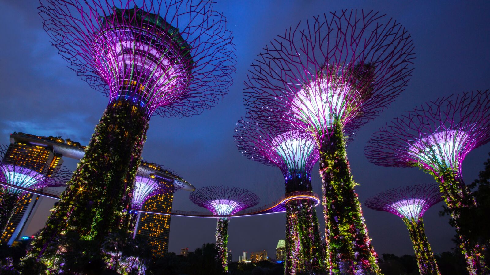 Sony SLT-A65 (SLT-A65V) sample photo. Garden by the bay photography